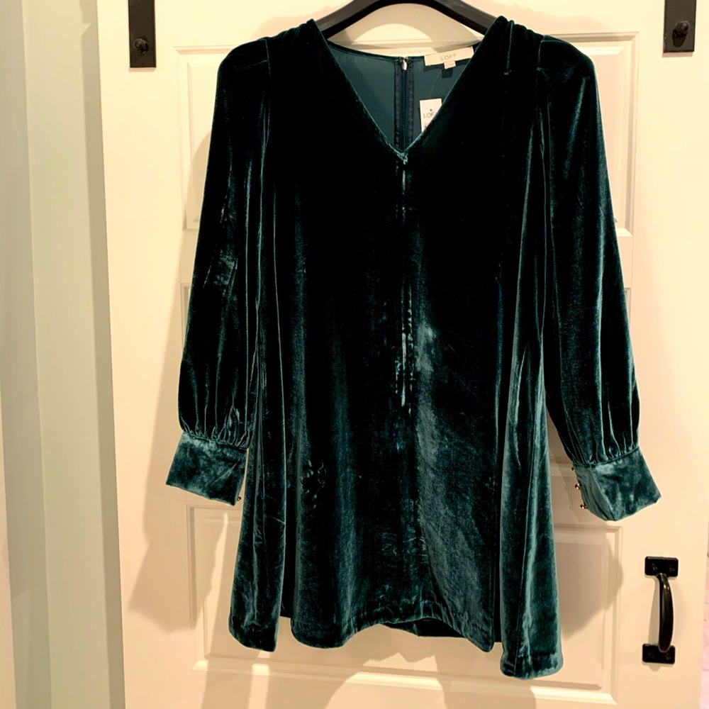 Ann Taylor Loft swing dress